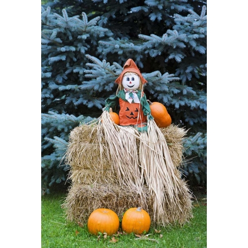 Wisconsin Autumn haystack and Halloween decor